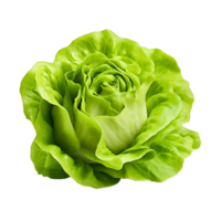 ai generado verde lechuga acortar Arte png