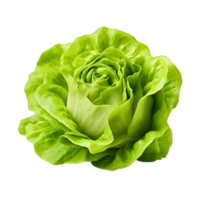 ai generado verde lechuga acortar Arte png