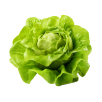 ai generiert Grün Grüner Salat Clip Kunst png