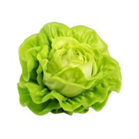 ai generiert Grün Grüner Salat Clip Kunst png