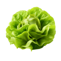 ai generado verde lechuga acortar Arte png