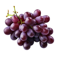 AI generated Grapes clip art png