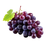 AI generated Grapes clip art png