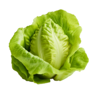 AI generated Green lettuce clip art png