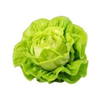 ai generado verde lechuga acortar Arte png