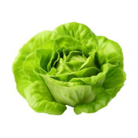 AI generated Green lettuce clip art png