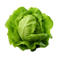 AI generated Green lettuce clip art png