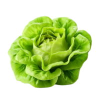 ai generado verde lechuga acortar Arte png