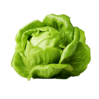 AI generated Green lettuce clip art png