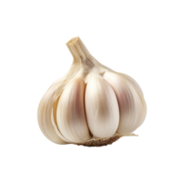 AI generated Garlic clip art png