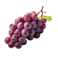 AI generated Grapes clip art png