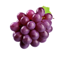 ai generado uvas acortar Arte png