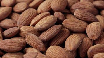 Closeup of almond, brown almonds, closeup of nut, nut background video