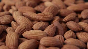 Closeup of almond, brown almonds, closeup of nut, nut background video