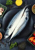 Fresh whole mackerel fish on the plate. photo