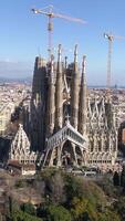 Vertical video of Sagrada Familia Church in Barcelona at morning Day. Spain Aerial View