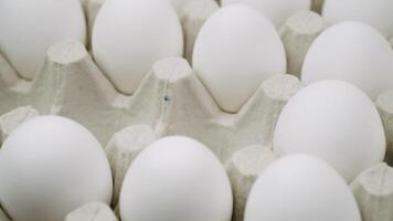 Hand placing many white eggs and one golden egg on platform - close up. Lots of fresh chicken raw eggs video