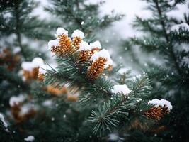 AI generated Snow on pine cones in the snow photo