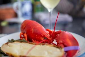 Boiled Lobster Dinner photo