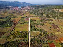 View of Stari Grad Plain Hvar Island in Croatia. The Stari Grad Plain is an incredible Unesco World Heritage Site, where the farming techniques practically havent changed since the 4th century BC. photo