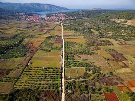 ver de stari grad llanura hvar isla en Croacia. el stari grad llanura es un increíble la unesco mundo patrimonio sitio, dónde el agricultura tecnicas prácticamente no he cambió ya que el 4to siglo antes de Cristo. foto