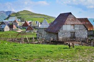 montaña pueblo lukomir en bosnia y herzegovina único y tradicional aldea. único pueblo en Europa. medieval tradicional camino de viviendo. rural turismo y vacaciones. foto