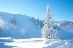 View of frozen trees. Mountain landscape on a sunny winter day. photo