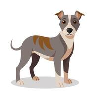 Dog flat Vector illustration on white background.