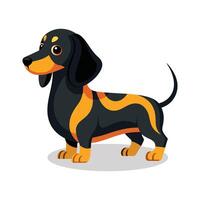 Alpine dachsbracke animal flat illustration on white Background vector