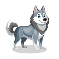 Alusky animal flat illustration on white Background vector