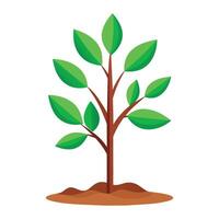 Sapling tree flat vector illustration on white background