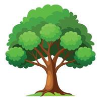Oak tree Isolated flat vector illustration.