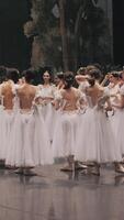 uma grupo do bailarinas e uma coreógrafo, em pé em a estágio, discutir a desempenho depois de a desempenho. balé dançarinos estão em repouso. correção do erros. video