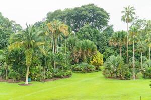 singapur gardens in asia photo