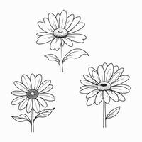 line art daisy flower vector