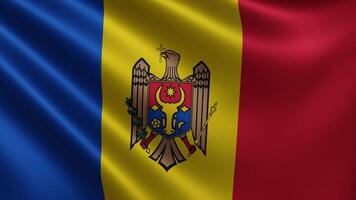 The Moldovan flag flutters in the wind close-up, the state flag of Moldova video