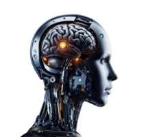 A robot with a human brain The combination of people and AI Artificial intelligence with human thinking png