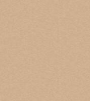 Brown paper texture background. Vector illustration