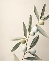 AI generated Olive branch with green olives on a light background. photo