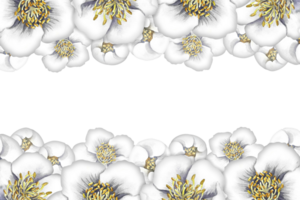 une Cadre avec jasmin fleurs. parfumé blanc printemps fleurs. une dessiné à la main aquarelle illustration. pour emballage, salutation et invitation cartes et Étiquettes. pour bannières, dépliants. png