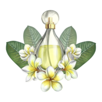 A perfume bottle made of transparent glass with plumeria and frangipani flowers. Vintage yellow perfume. A hand-drawn watercolor illustration. For packaging, postcards and labels. For banners, flyers. png