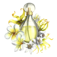 A transparent glass perfume bottle with plumeria, frangipani, orange blossom and ylang-ylang flowers. Vintage yellow perfume. Hand-drawn watercolor illustration. For packaging, postcards and labels. png