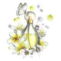 A perfume bottle made of transparent glass with plumeria, frangipani and orange blossom flowers. Vintage yellow perfume with a butterfly. Hand-drawn watercolor illustration. For packaging, postcards. png