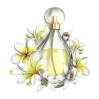 A perfume bottle made of transparent glass with plumeria, frangipani and orange blossom flowers. Vintage yellow perfume. Hand-drawn watercolor illustration. For packaging, postcards and labels. png