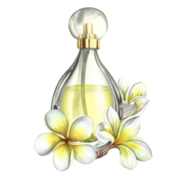 A perfume bottle made of transparent glass with plumeria and frangipani flowers. Vintage yellow perfume. A hand-drawn watercolor illustration. For packaging, postcards and labels. For banners, flyers. png