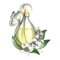 un botella de perfume hecho de transparente vaso, naranja florecer flores y un mariposa. Clásico amarillo perfume con el olor de agrios flores un dibujado a mano acuarela ilustración. png