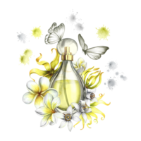 A perfume bottle made of transparent glass with flowers of plumeria, frangipani, orange blossom and ylang-ylang. Vintage yellow perfume with butterflies, splashes. Hand-drawn watercolor illustration. png