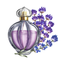 A perfume bottle made of transparent glass with lavender flowers. Vintage purple perfume with lavender scent. A hand-drawn watercolor illustration. Isolate her. For packaging, postcards and labels. png