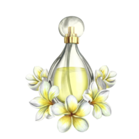 A perfume bottle made of transparent glass with plumeria and frangipani flowers. Vintage yellow perfume. A hand-drawn watercolor illustration. For packaging, postcards and labels. For banners, flyers. png