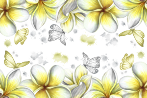 un' telaio con plumeria, un' confine di esotico tropicale fragrante frangipani fiori. disegnato a mano acquerello illustrazione. per confezione banner e etichette. per manifesti, volantini, saluto e invito carte png